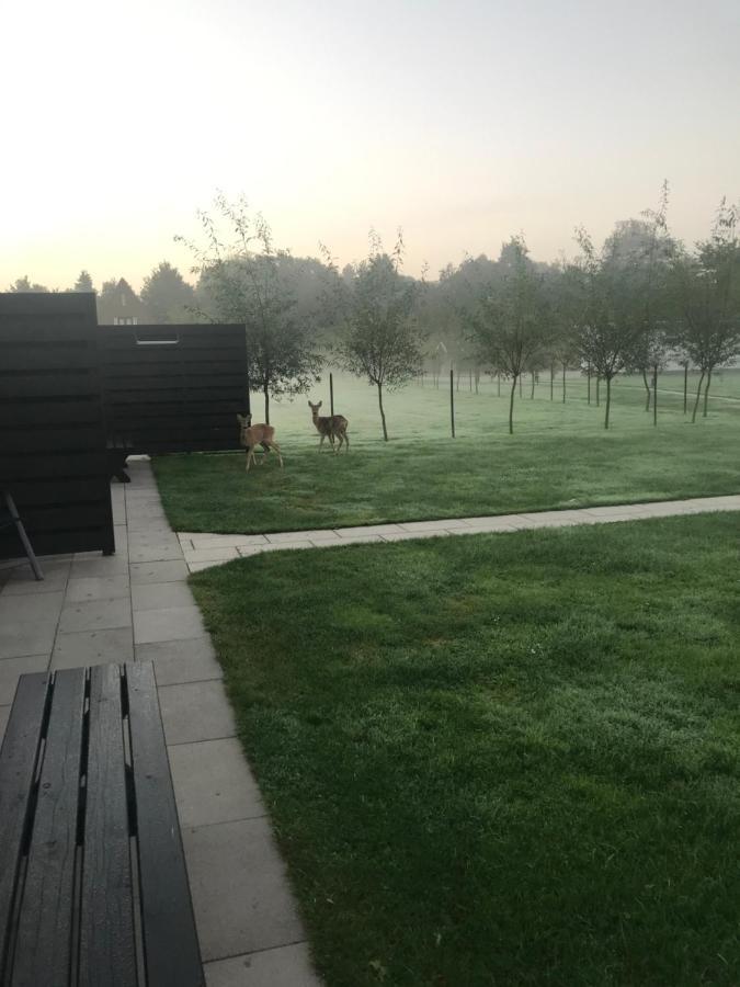 B&B Beach&Bos Oostvoorne Zewnętrze zdjęcie