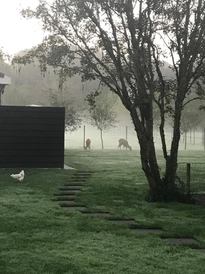 B&B Beach&Bos Oostvoorne Zewnętrze zdjęcie